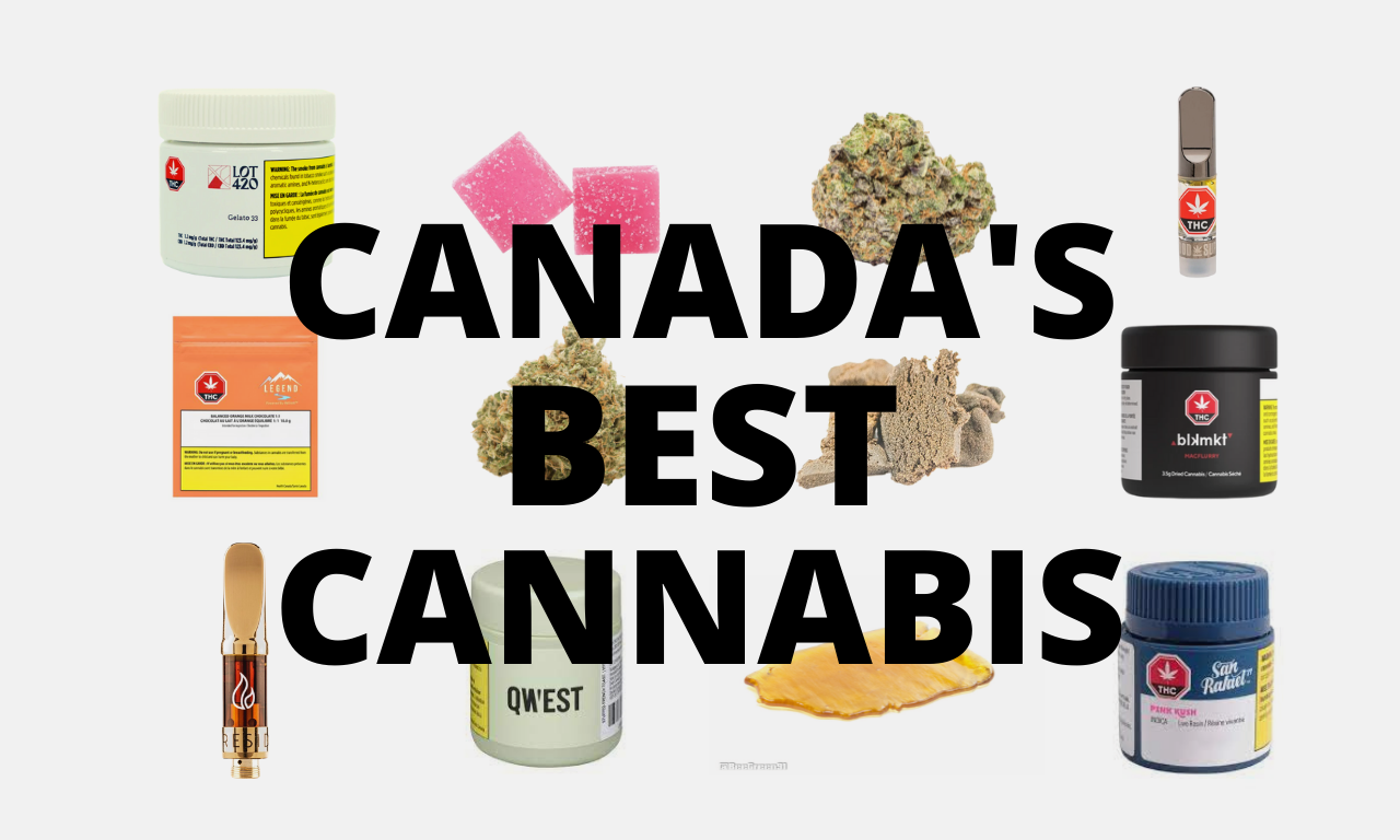 canadas best licensed producers
